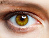 Prévention des Maladies Oculaires chez les Personnes Âgées